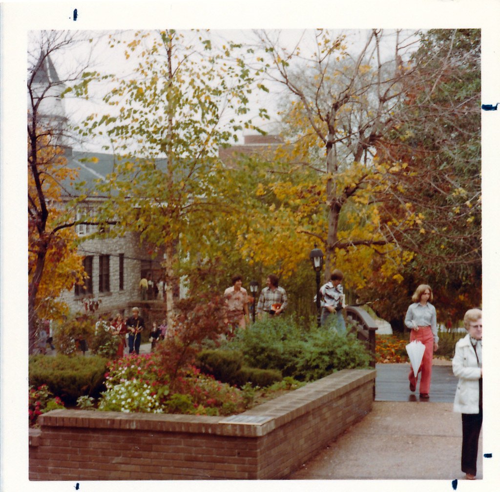 49430841968_9a0a3284b6_b