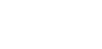 19:1 student-to-faculty ratio