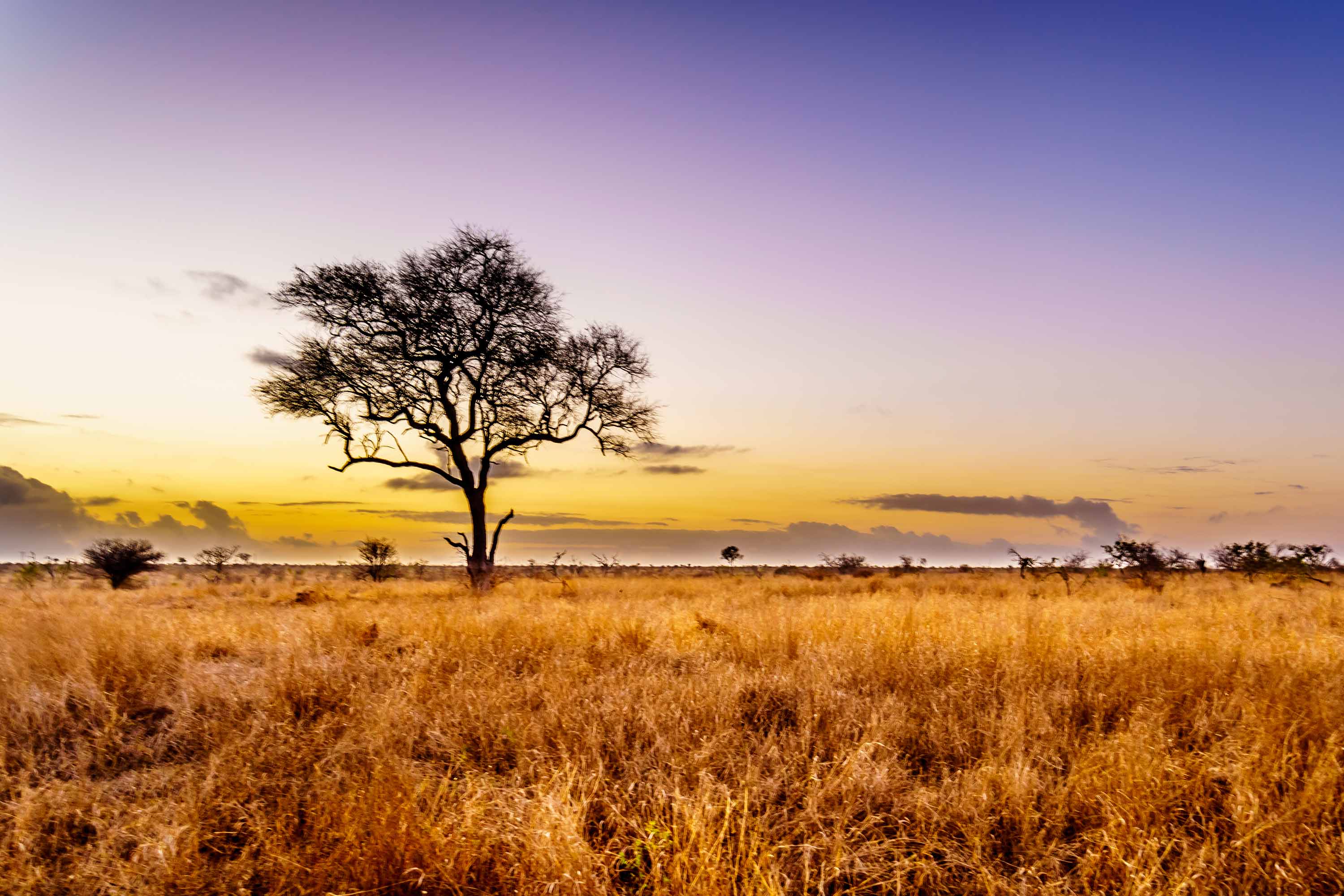 Africa Landscape Africa Landscape