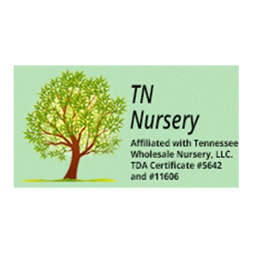 TN_Nursery