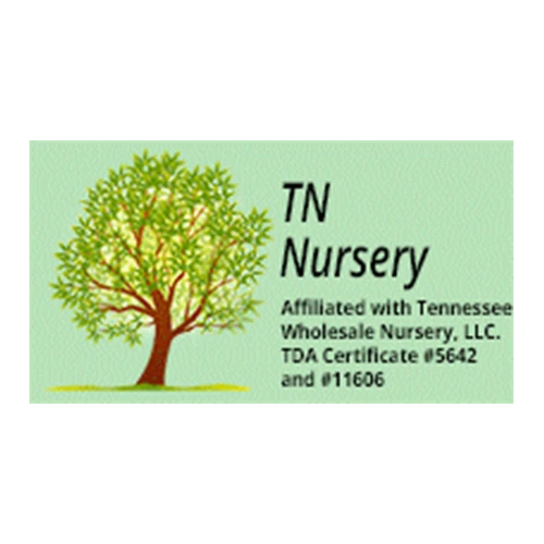 TN_Nursery TN_Nursery