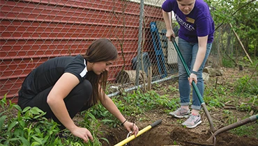 Students work on Trevecca's urban farm. Students work on Trevecca's urban farm.